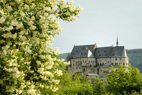 Vianden의 오래 된 성곽 — 스톡 사진