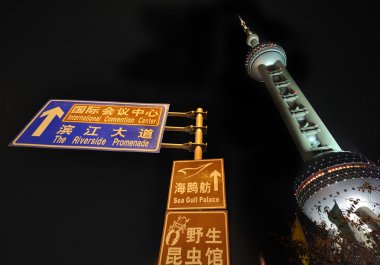Pearl tower at night clipart