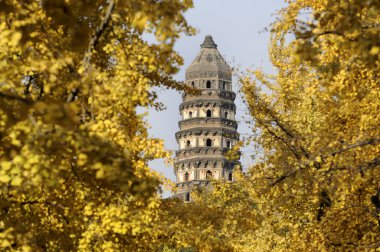 Tiger hill pagoda, Suzhou clipart