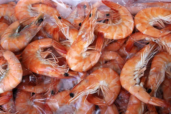 Fresh cooked prawns — Stock Photo, Image