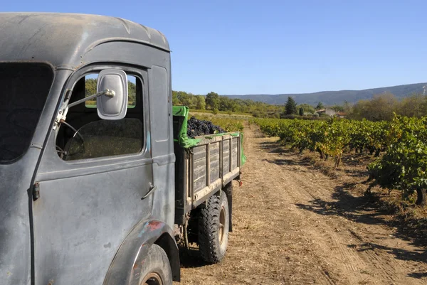 Oude Franse truck met druiven — Stockfoto