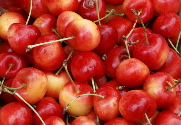 stock image Cherries at the greengrocer