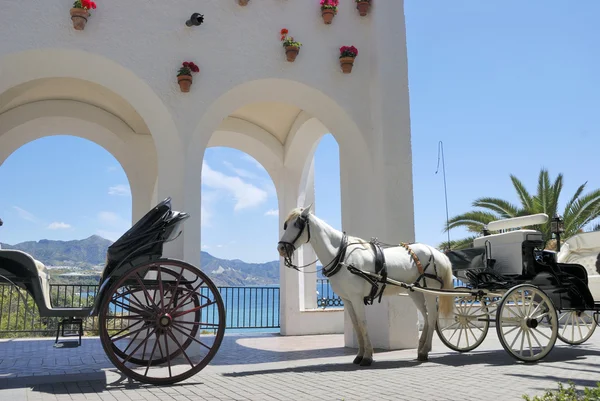 Horse driven carriage — Stock Photo, Image