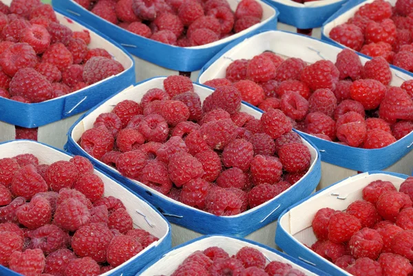Raspberries in containers