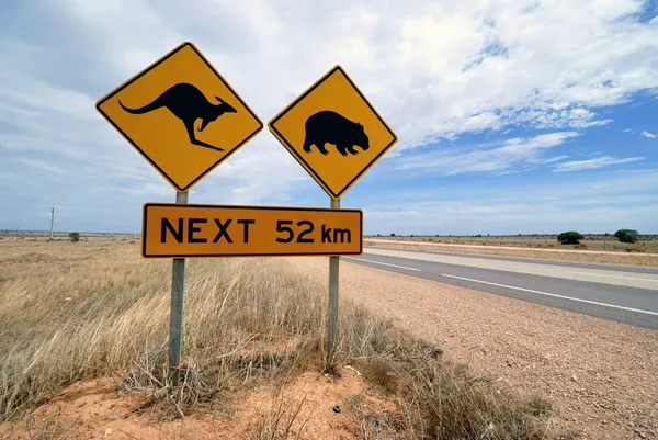 Kenguru, wombat figyelmeztető jel, Ausztrália — Stock Fotó