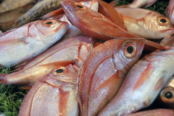 Fishes at a market place — Stock Photo, Image