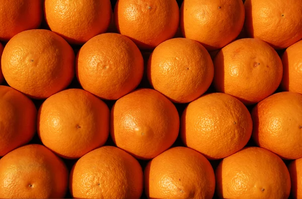Groep van sinaasappelen klaar voor SAP — Stockfoto