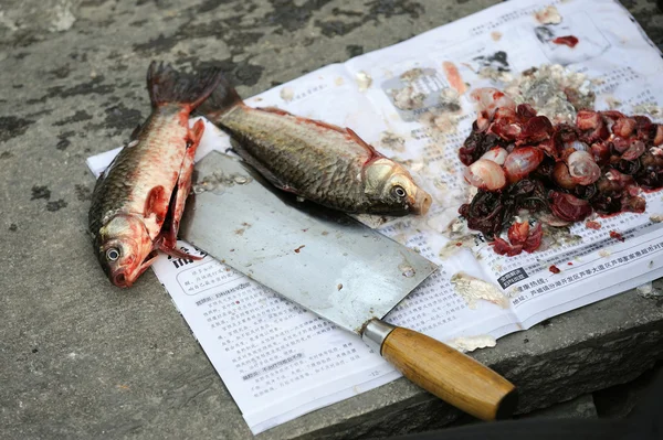 Preparing fish in China