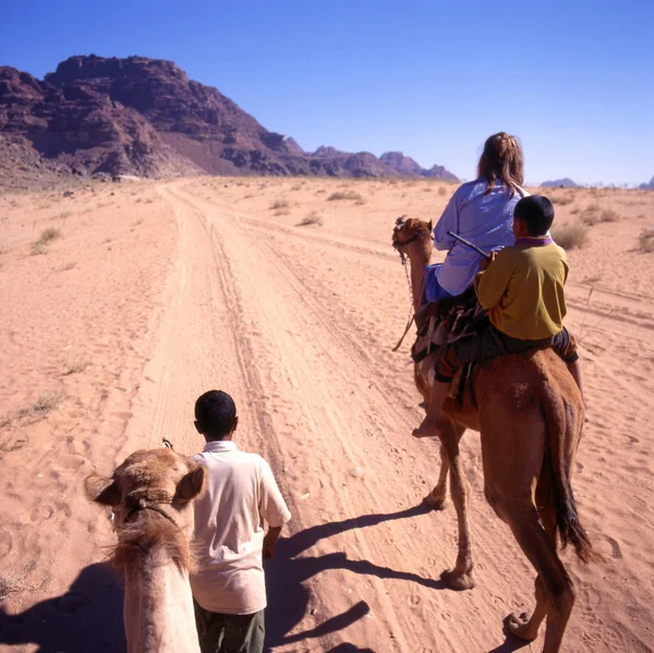 En kameltur i ørkenen – stockfoto