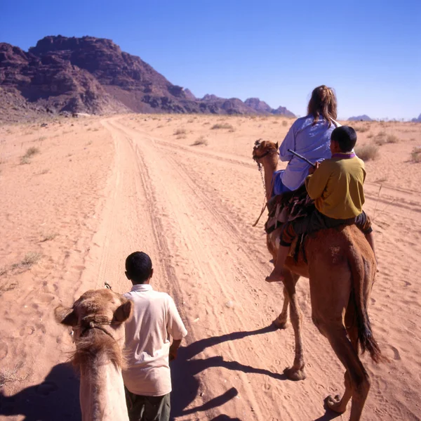 Un viaje en camello por el desierto —  Fotos de Stock