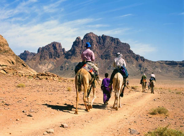 Μια καμήλα ταξίδι στην έρημο — Stockfoto