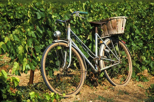 Старый синий французский велосипед — стоковое фото