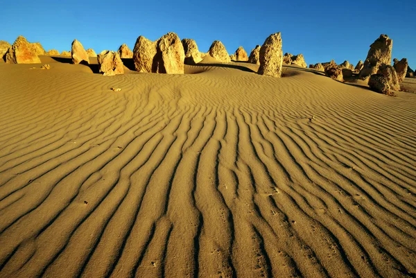 Desierto de pináculos en Australia Occidental — Foto de Stock