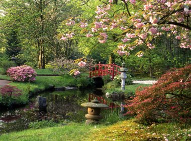 Japanese garden clipart