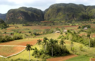 Valle de vinales