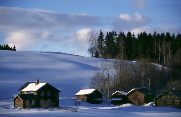 Снег в Норвегии — стоковое фото