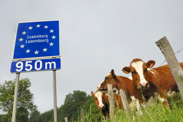 Frontera de Luxemburgo — Foto de Stock