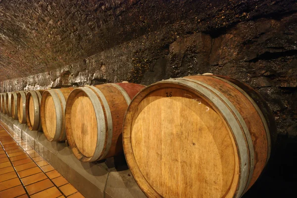 Gammalt vin cave — Stockfoto