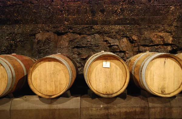 Старая винная пещера с деревянными бочками — стоковое фото