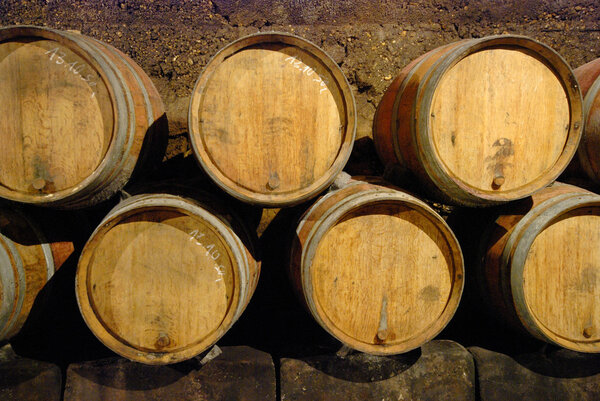 Old wine cave with wooden barrels
