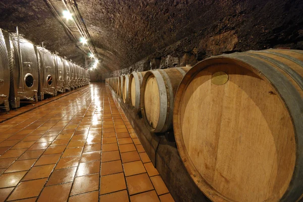 오래 된 와인 동굴 — 스톡 사진