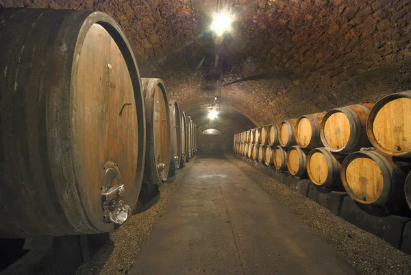 Caverna de vinho velho — Fotografia de Stock