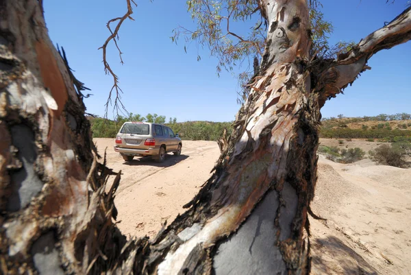 4-hjulstrekk som utforsker Flinders nasjonalpark – stockfoto