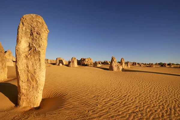 Pinnacles desert in Western Australia — Stock Photo, Image