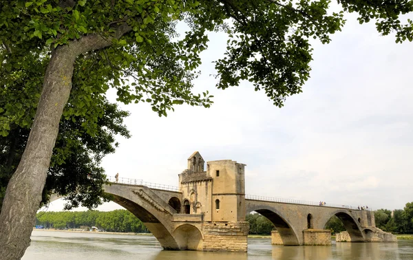 Slavný st. benezet most v Avignonu — Stock fotografie