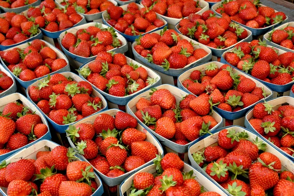 stock image Fresh strawberries