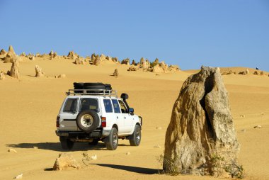 Pinnacles Çölü Batı Avustralya