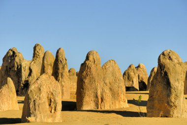 Pinnacles çöl