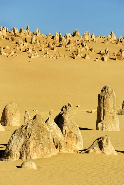 Pinnacles desert — Stock Photo, Image