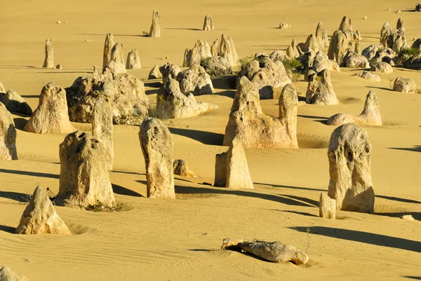 Pinnacoli deserto — Foto Stock