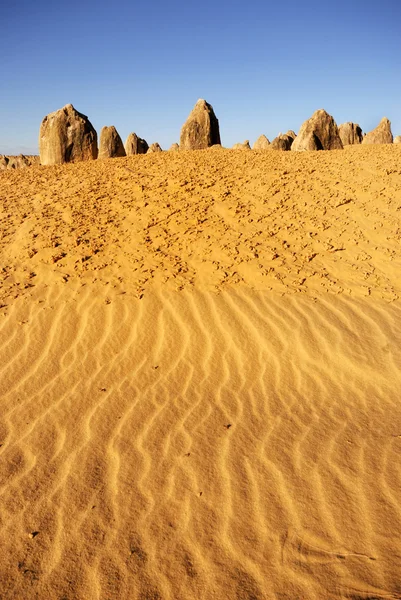 피너 클 스 사막 — 스톡 사진