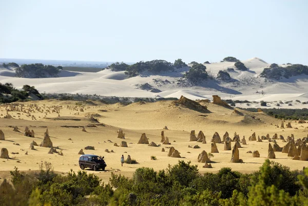 Έρημος pinnacles στη Δυτική Αυστραλία — Φωτογραφία Αρχείου