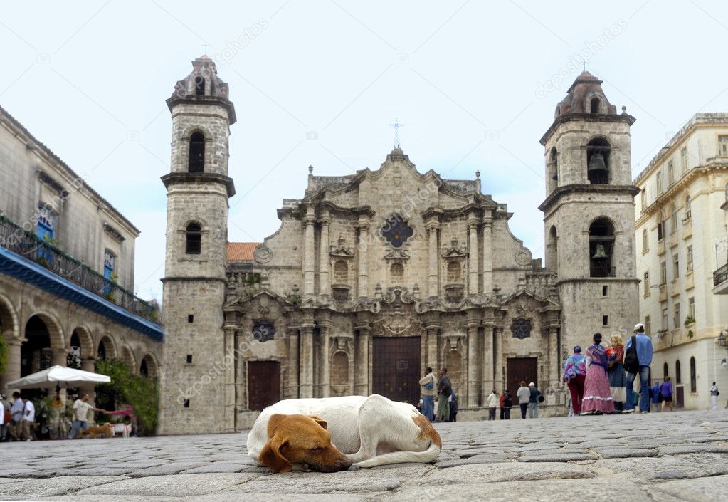 Dog and church in Cuba