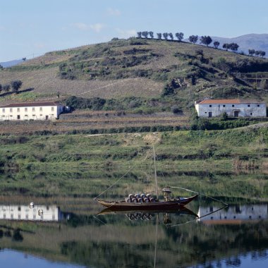 douro Vadisi'nin üzüm bağları