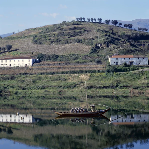 stock image Vineyards of the Douro Valley