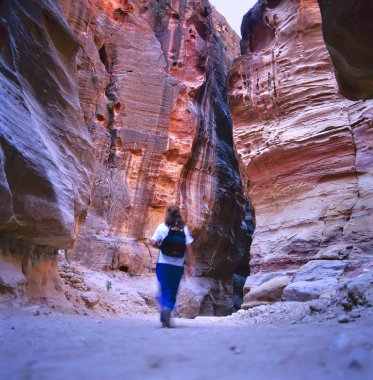 The Siq, Petra, Jordan clipart