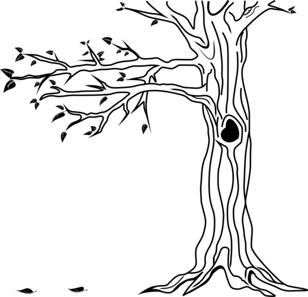 Ağaç ve yaprak. vektör Stok Illüstrasyon