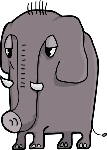 Глупый слон — стоковое фото
