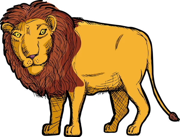 ライオンの描画 — ストック写真