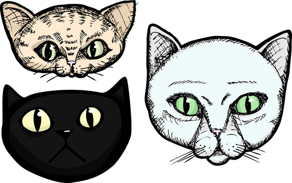 Tre katt huvuden — Stockfoto