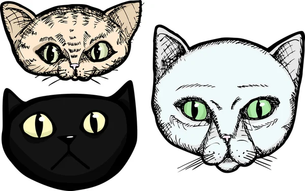 stock image Three Cat Heads