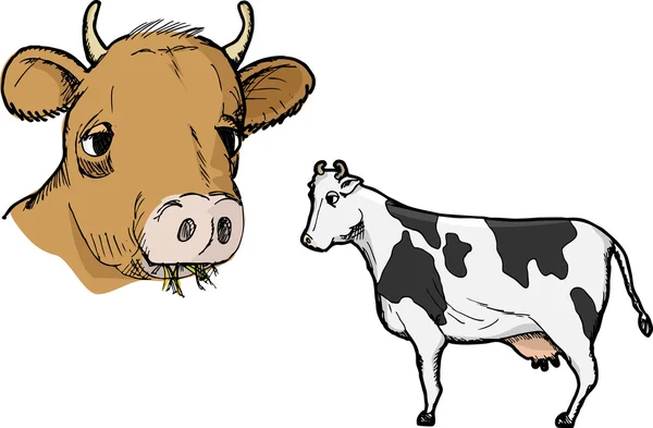 Profilo della mucca — Foto Stock