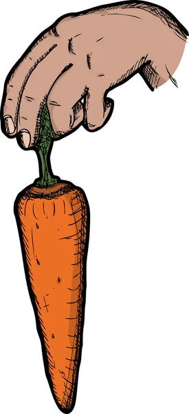 stock image Dangling A Carrot