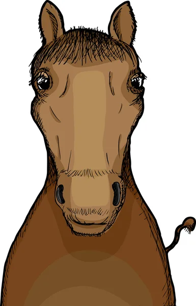 Paard Illustratie — Stockfoto