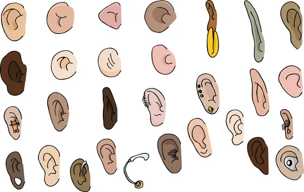Conjunto de 29 orelhas — Fotografia de Stock