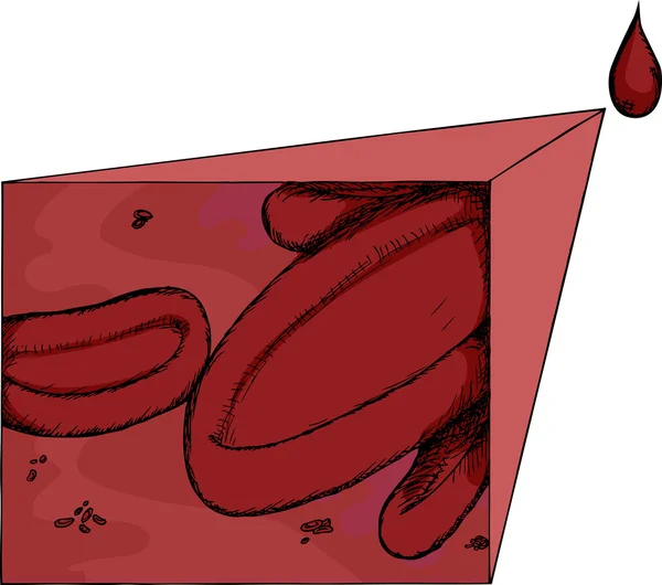 Blutzellen vergrößert — Stockvektor